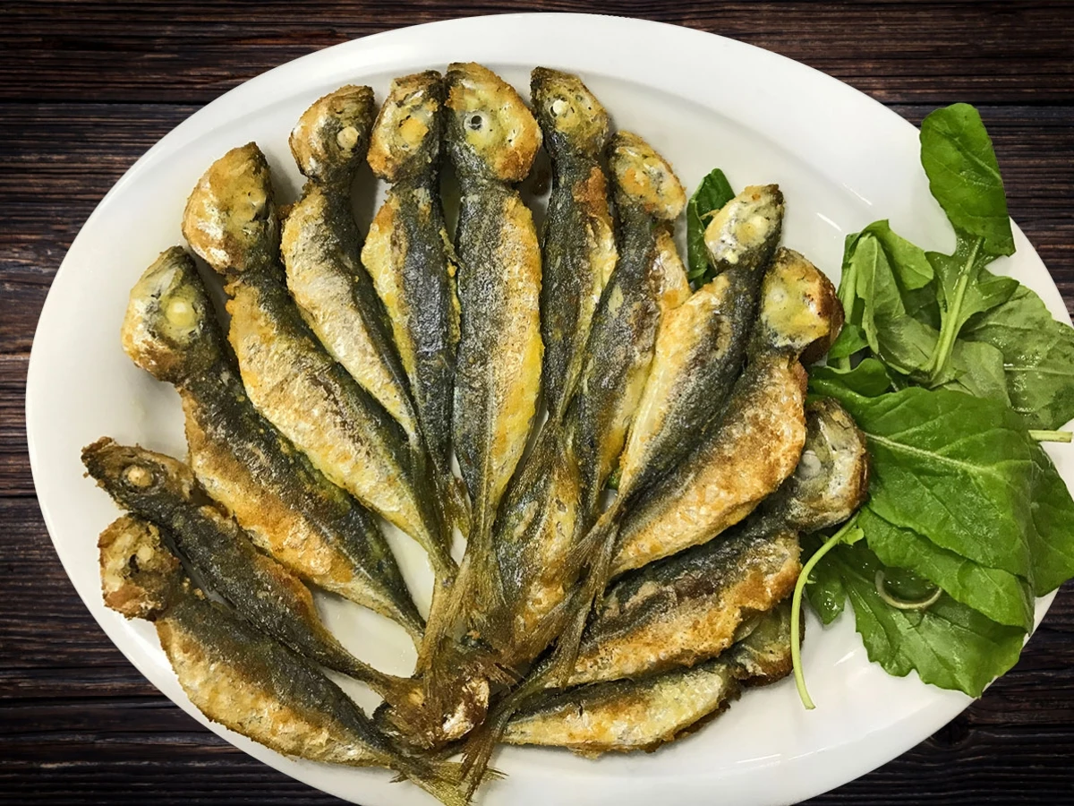 İstavrit
