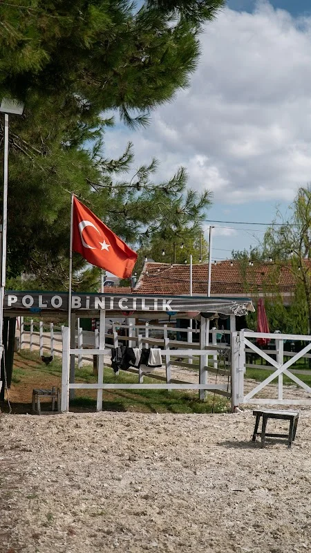 Polo Binicilik At Çiftliği