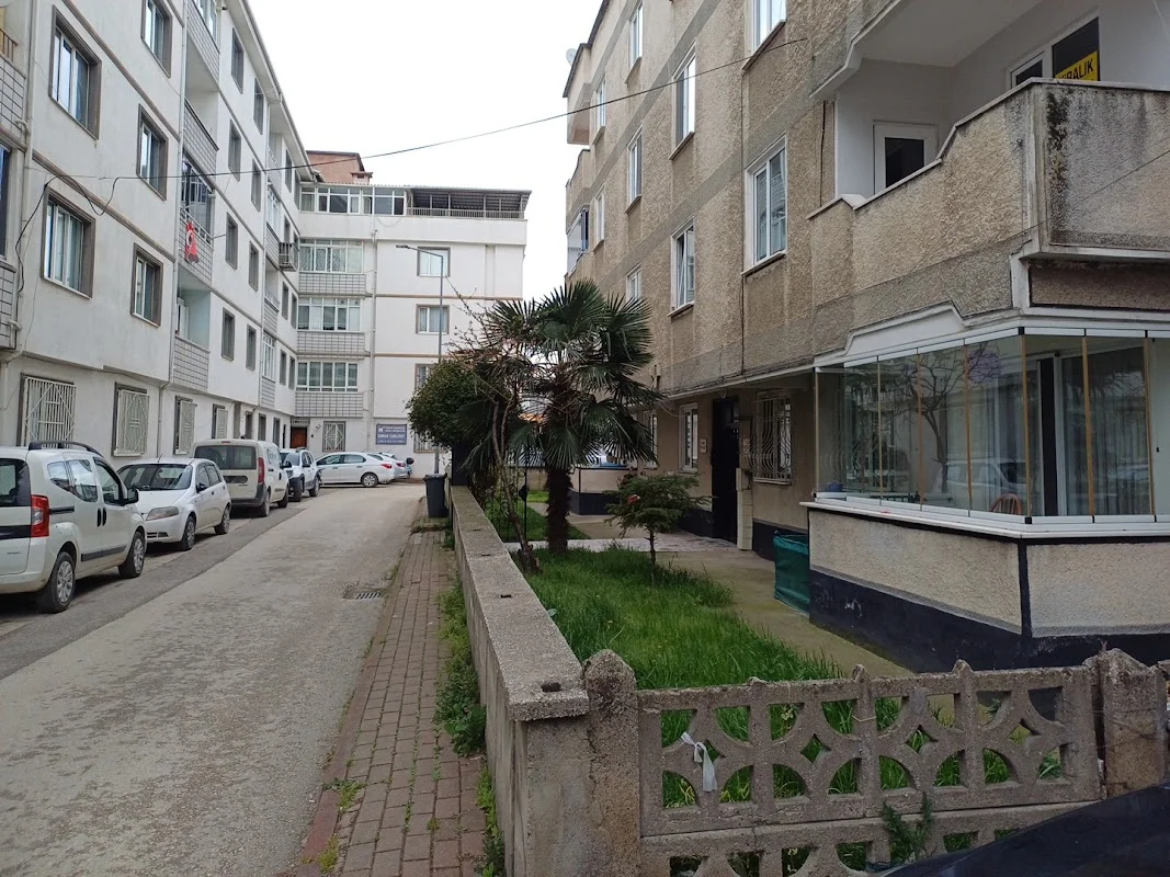 Serbest Muhasebeci Mali Müşavir Dilek ÇAVUŞOĞLU