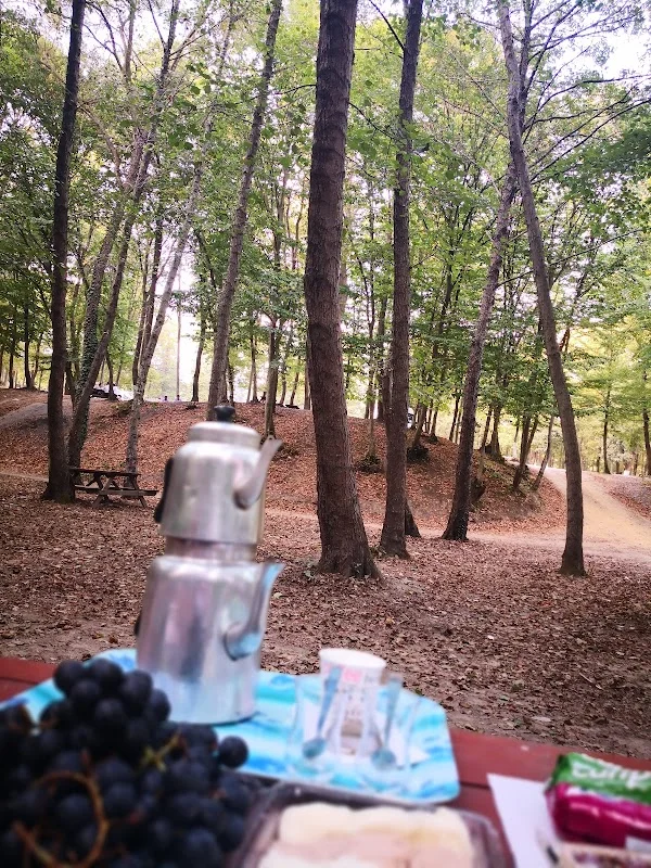 Akalan Köyü Piknik alanı