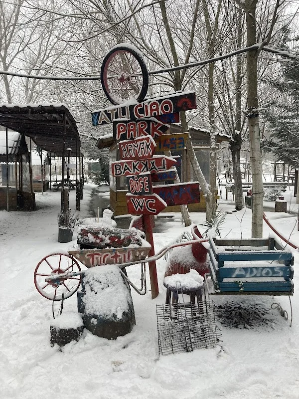 Atlı Binicilik