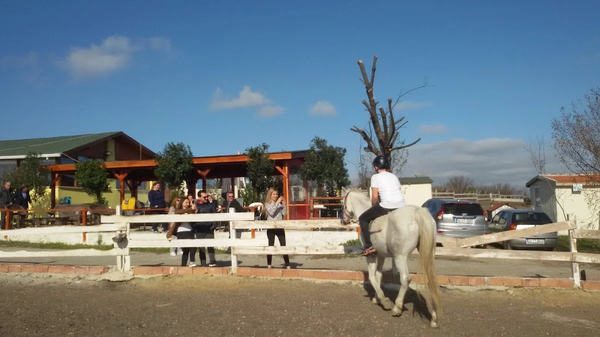 Tarkan Stud binicilik & restoran