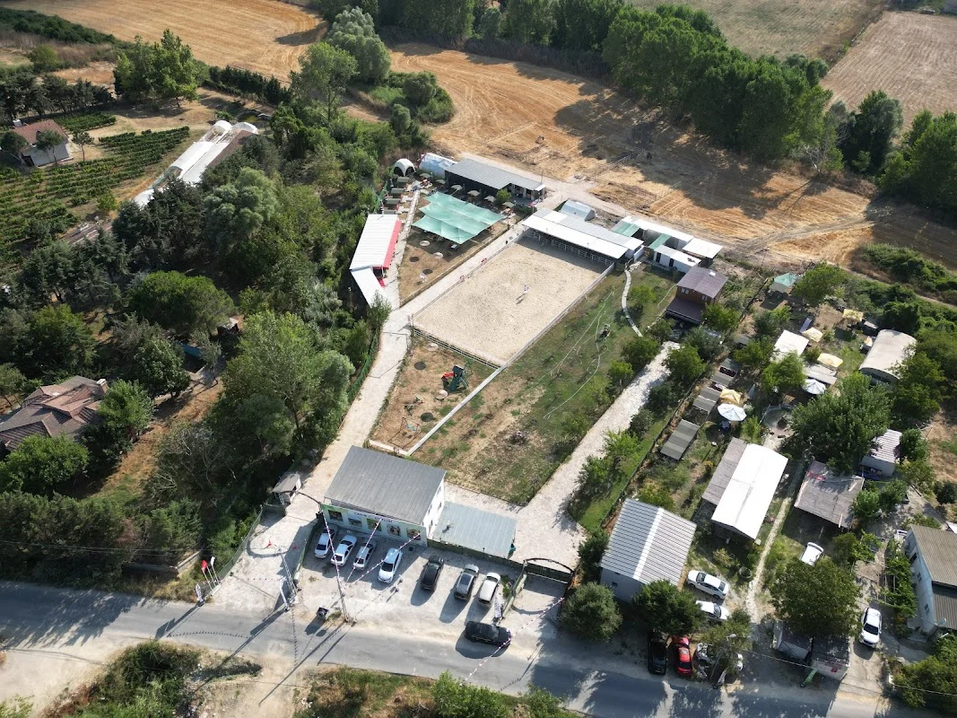Çakır At Çiftliği
