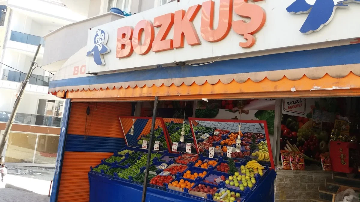 Bozkuş