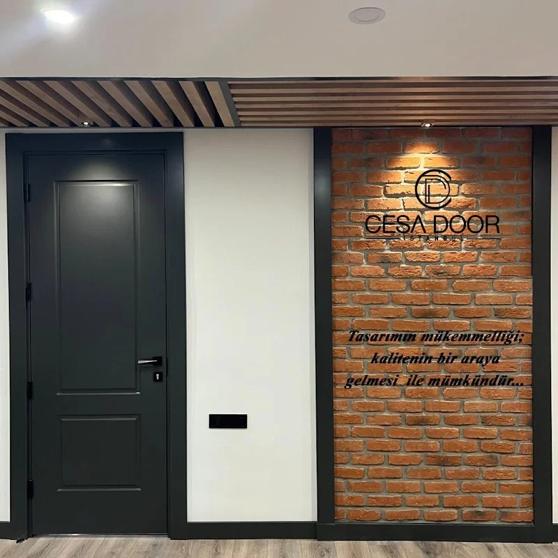 Cesa Door