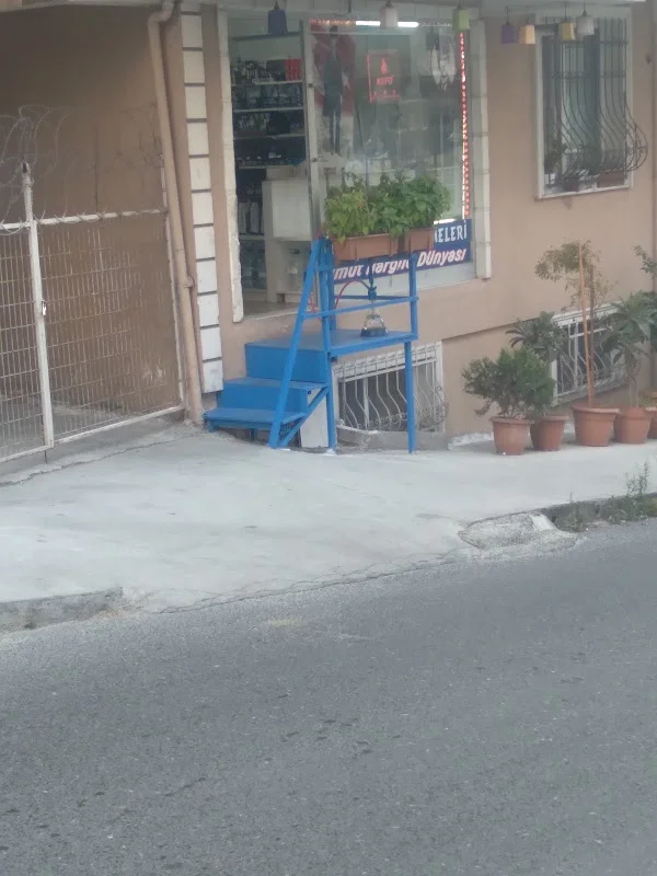 Umut Nargile Dünyasi