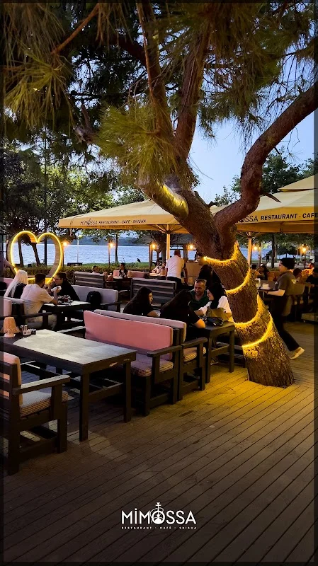 Mimossa Cafe & Restaurant