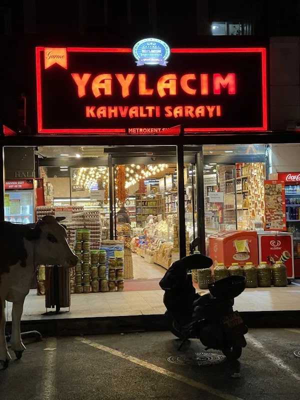 Gurme Yaylacım Kahvaltı Sarayı Avcılar