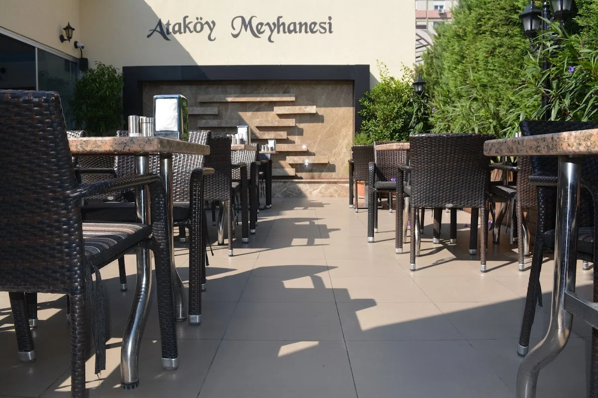Ataköy Çınaraltı Mangalbaşı