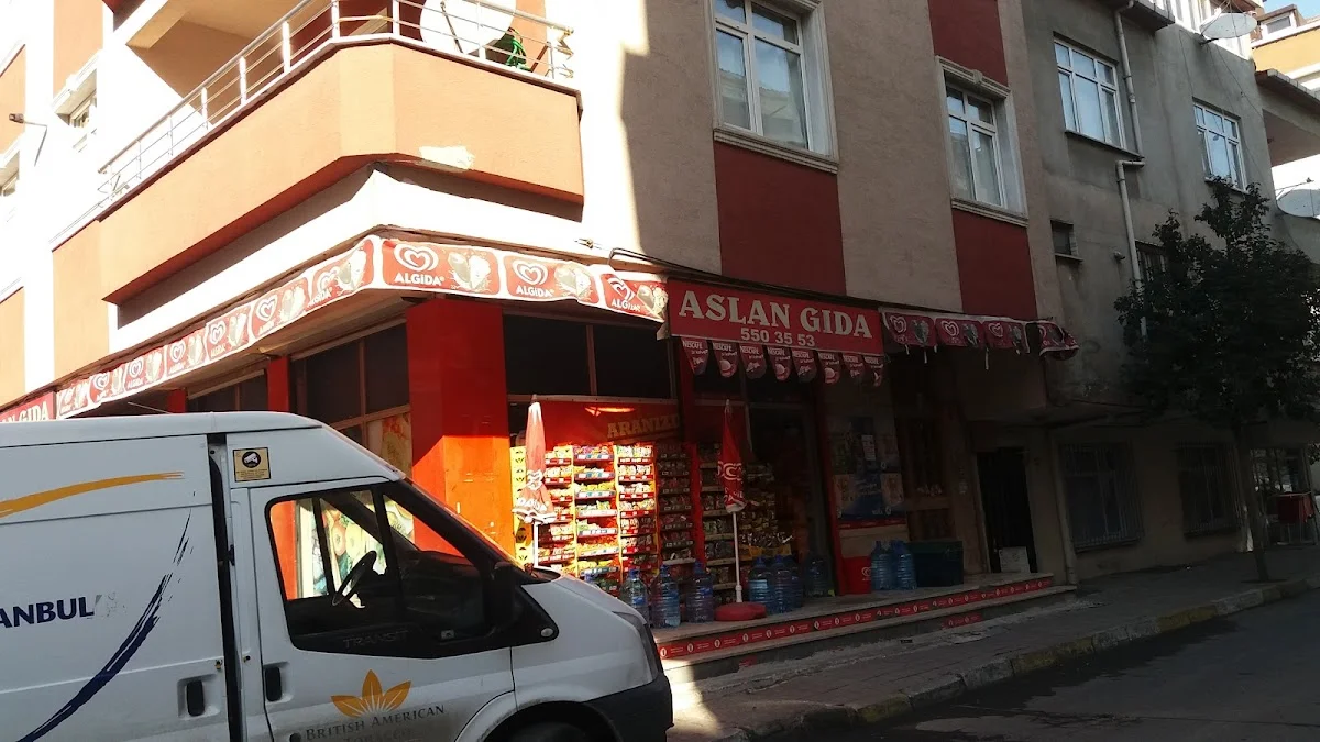 Aslan Gıda