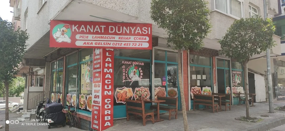 Kanat dünyası