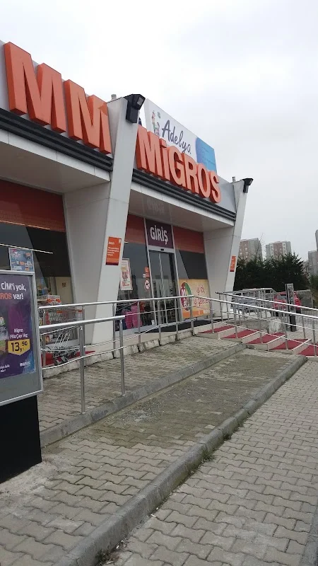 M Migros