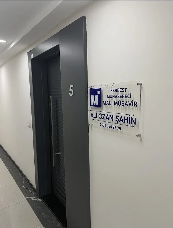 Ali Ozan Şahin Mali Müşavirlik