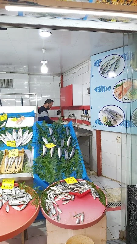 Balıkçı barış Atakent