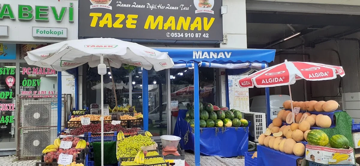 TAZE MANAV & MARKET (İSTANBUL)