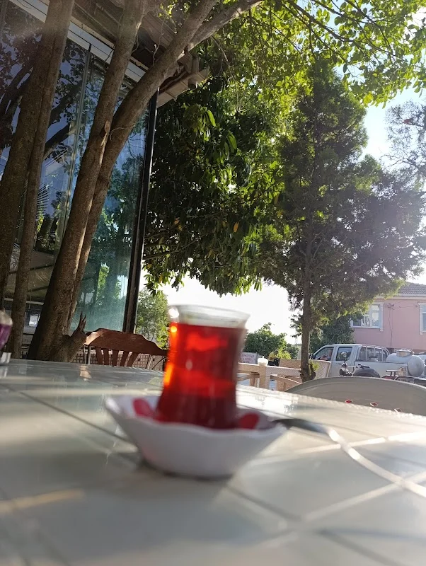 Hacımaşlı köy kahvesi