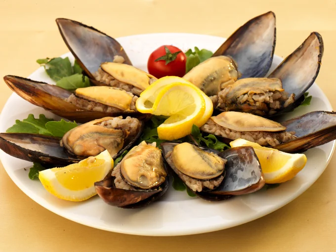 EMİR MİDYE DOLMA