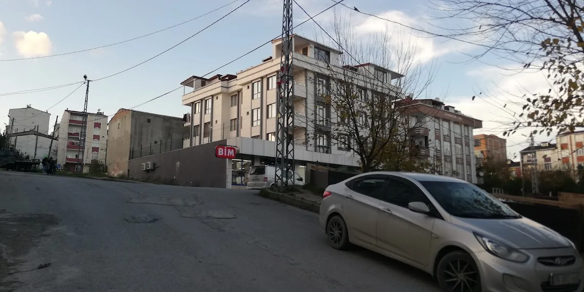 Bim zeytinlik
