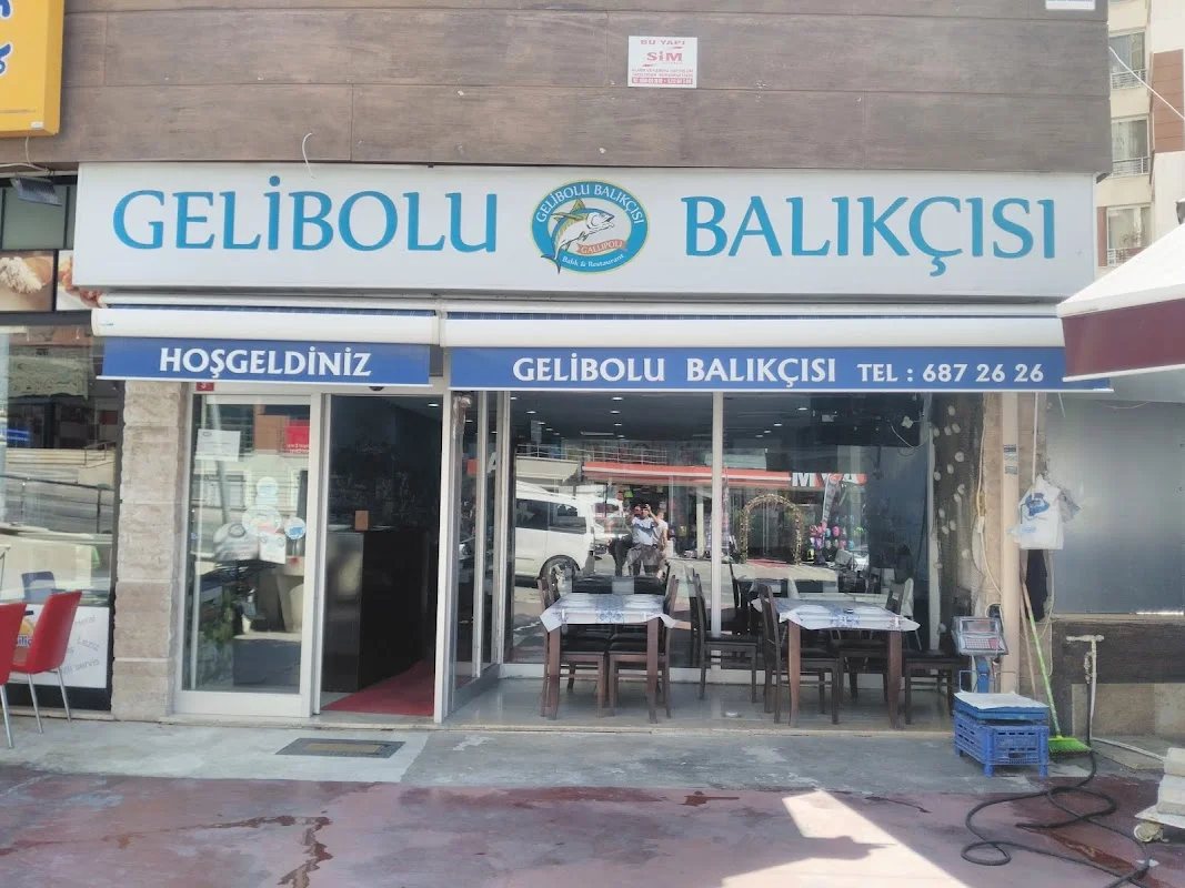 Gelibolu Balıkçısı