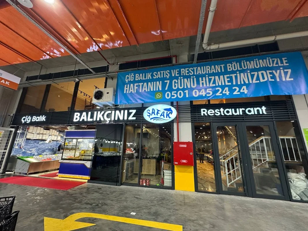 Balıkçınız Şafak Fenertepe