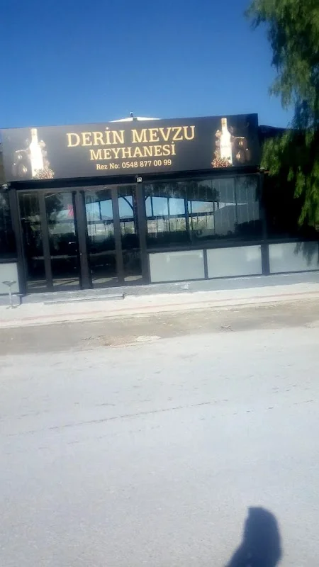 Tantunizade