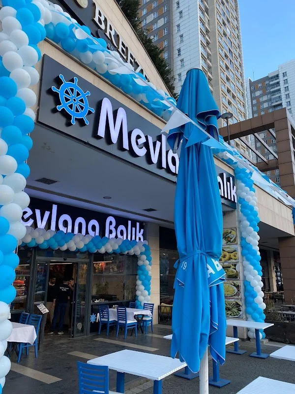Mevlana Balıkçısı TEM 2