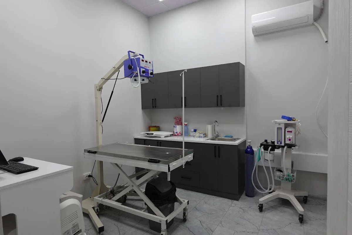 GoPetia Veteriner Kliniği