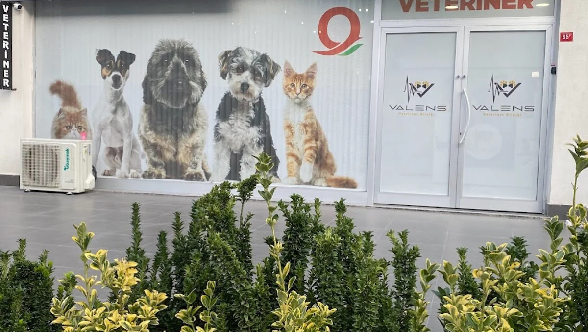 Valens Veteriner Kliniği - Gaziosmanpaşa, İstanbul