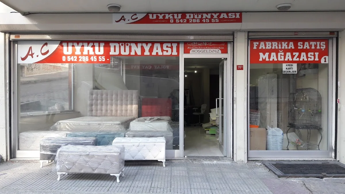 A.c Uyku Dünyası