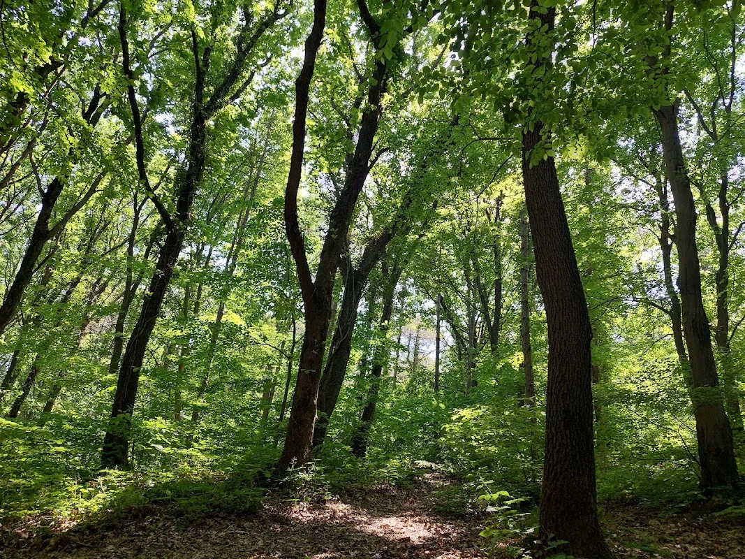 Fatih Ormanı Tabiat Parkı
