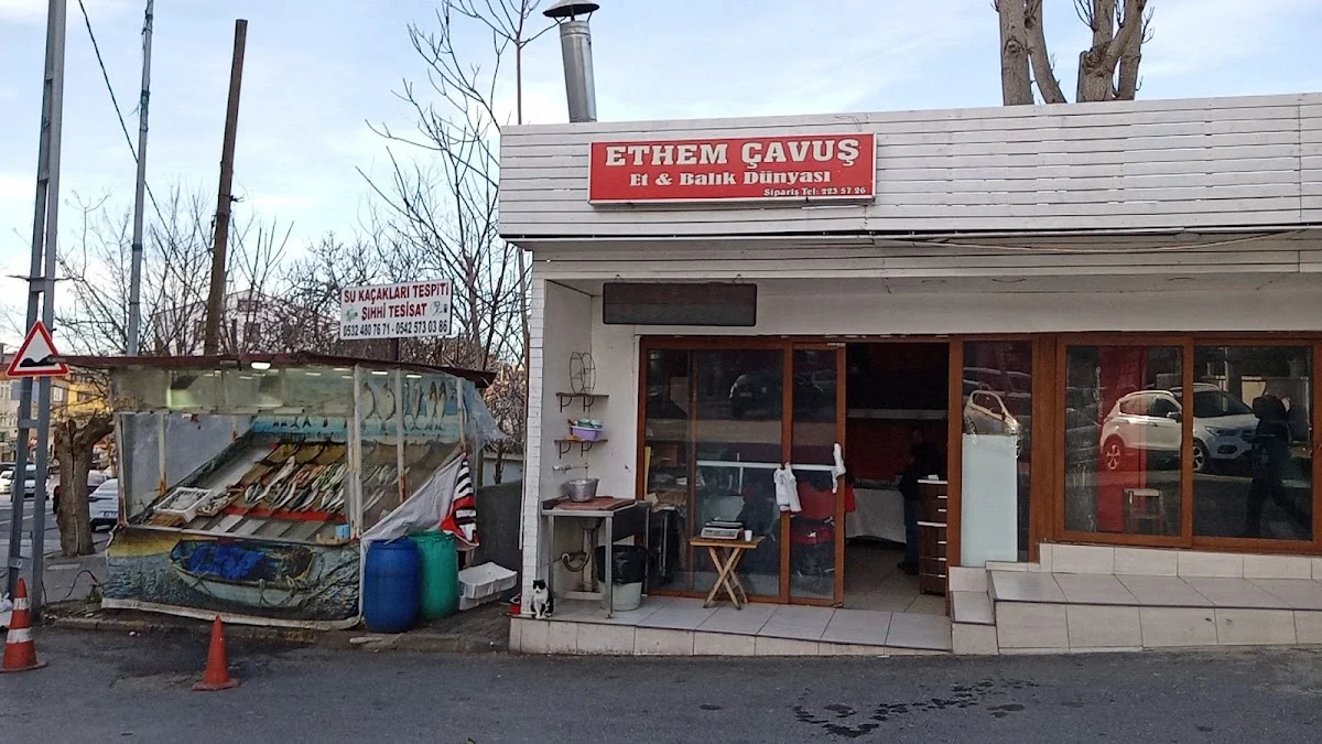 Ethem çavuş balıkçısı