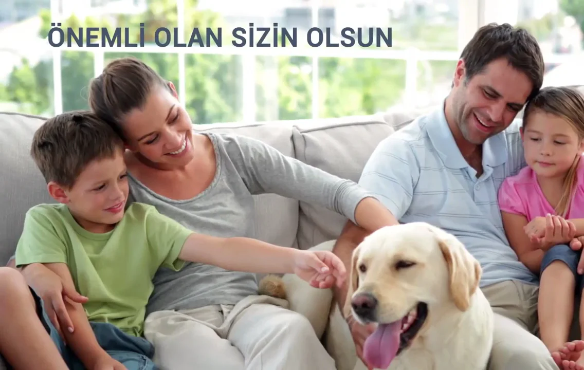 Area Danışmanlık