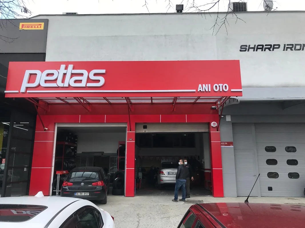 Petlas Anı Oto Lastik