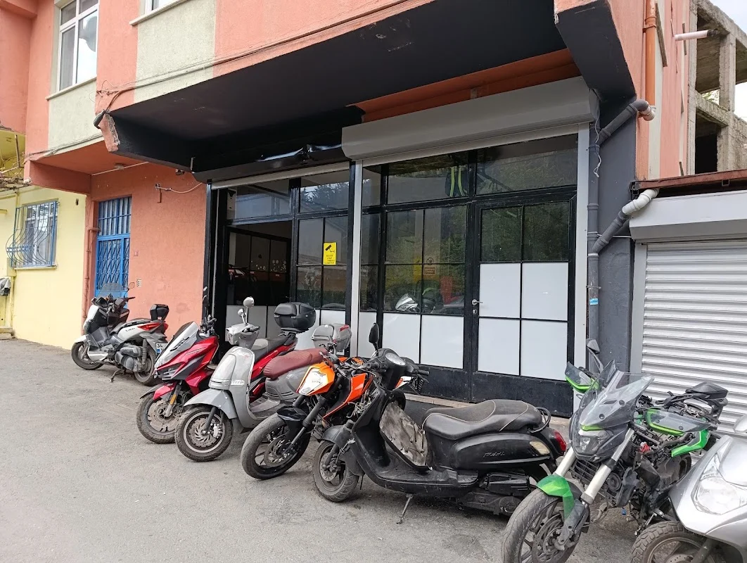 Terapi Motor
