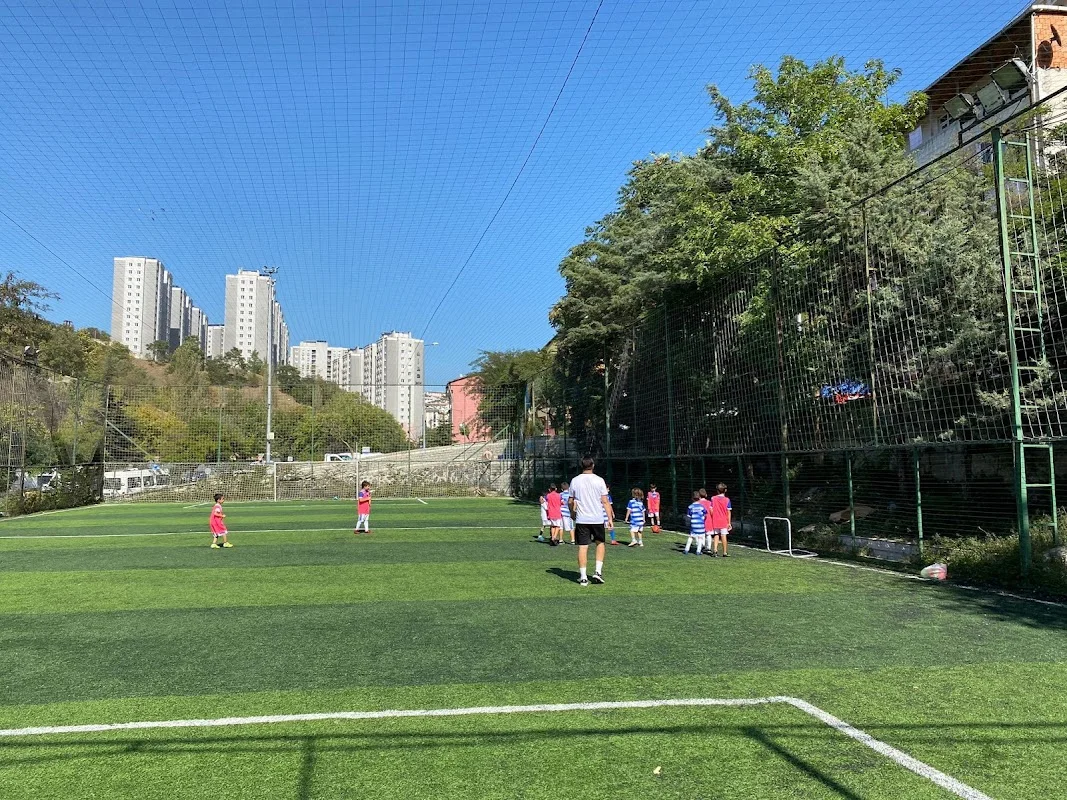 Demir Halı Saha