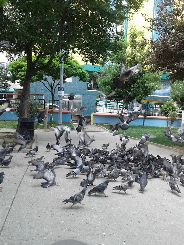 T.C. Kağıthane Belediyesi Hürriyet Parkı