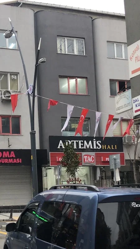 Artemis Hali