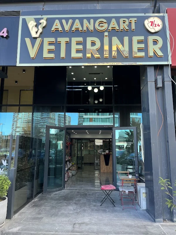 Avangart Veteriner Kliniği