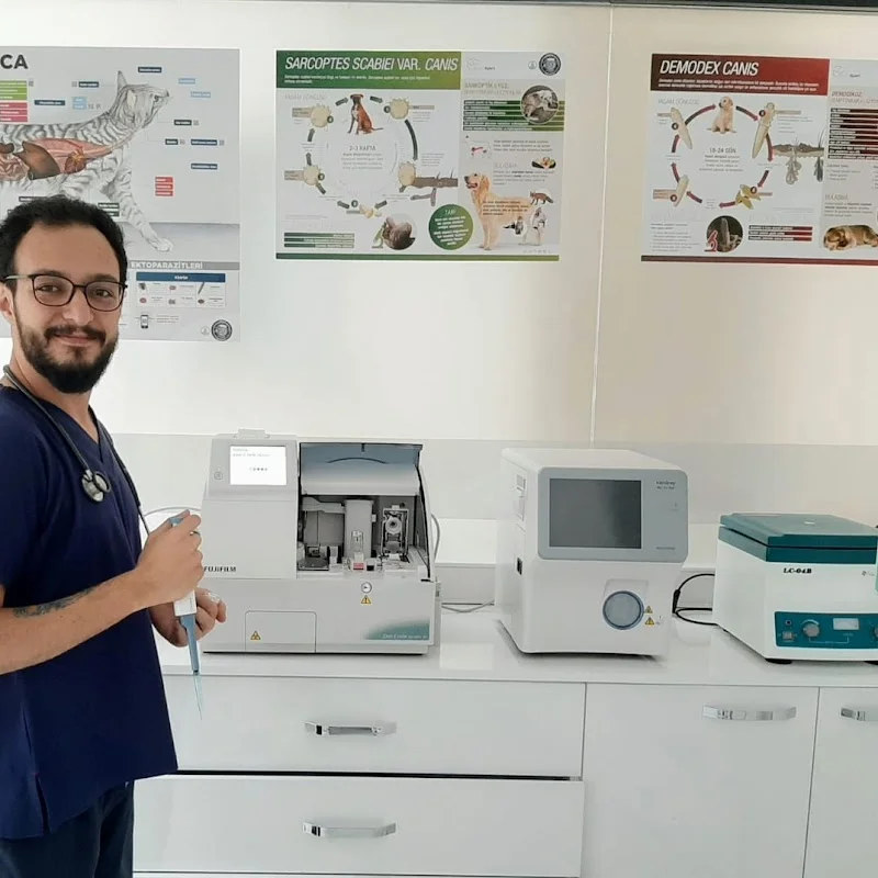CosmoVet Veteriner Kliniği - Kağıthane, İstanbul