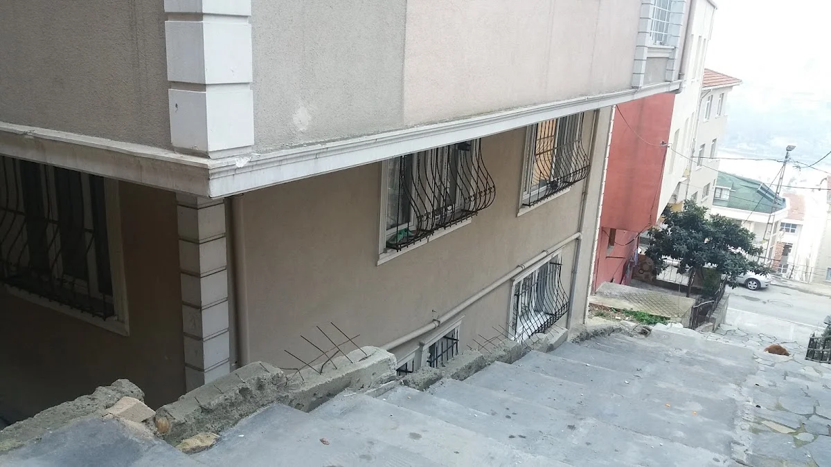Arı Denetim Ve Yeminli Mali Müşavirlik