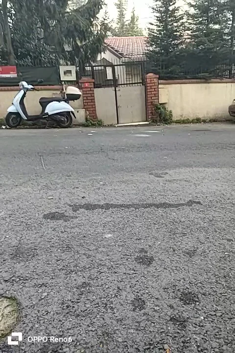Gültepe Pet Kuaför - Kağıthane, İstanbul