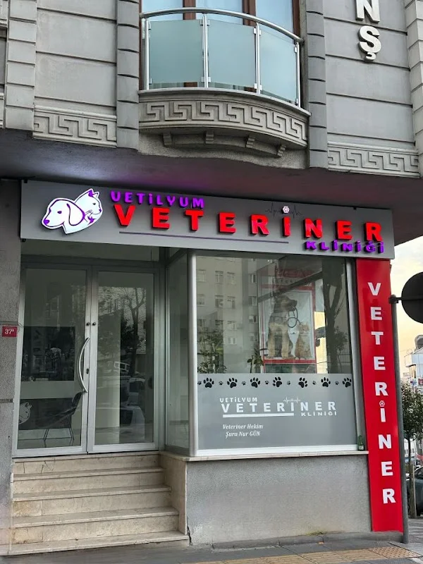 Vetilyum Veteriner Kliniği