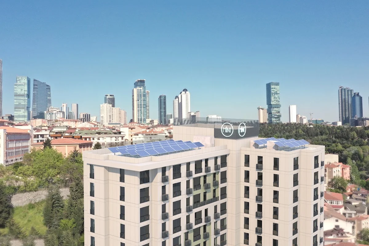 Mint Levent Olive