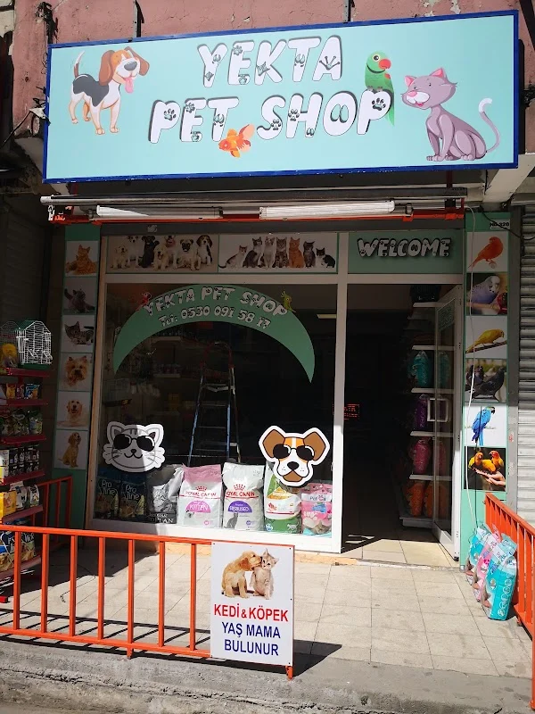 İkram Çiğköfte Gültepe