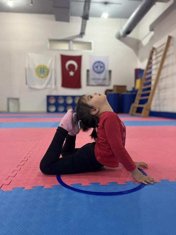 İstanbul Üniversitesi Cimnastik Spor Okulu