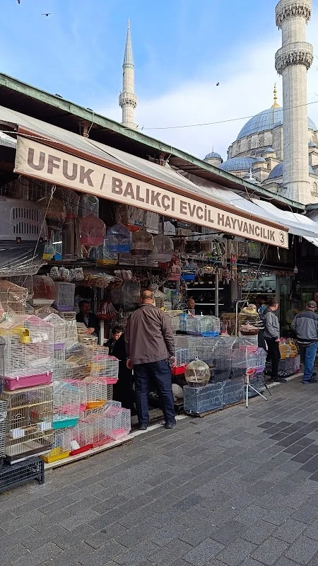Ufuk/Balıkçı Evcil Hayvancılık