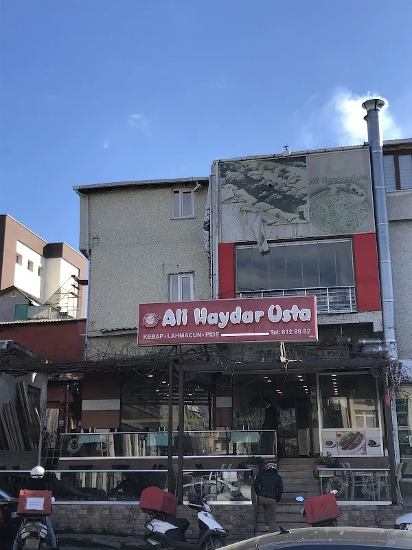 Ali Haydar Usta