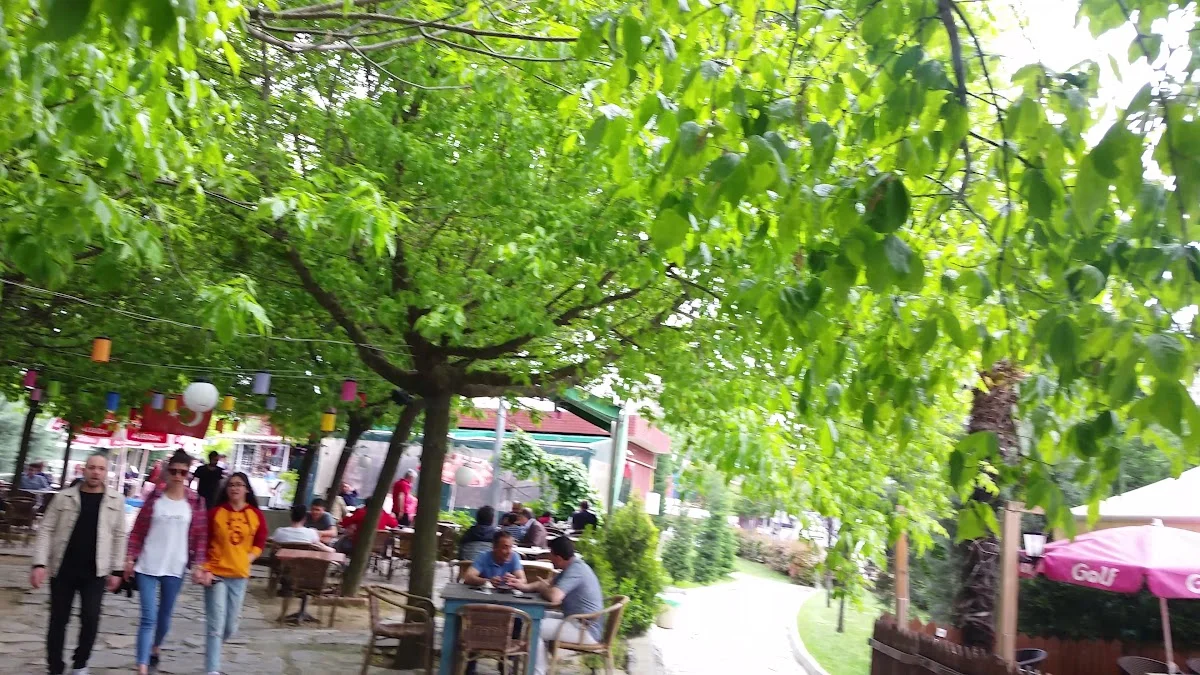 Cafe Çevre