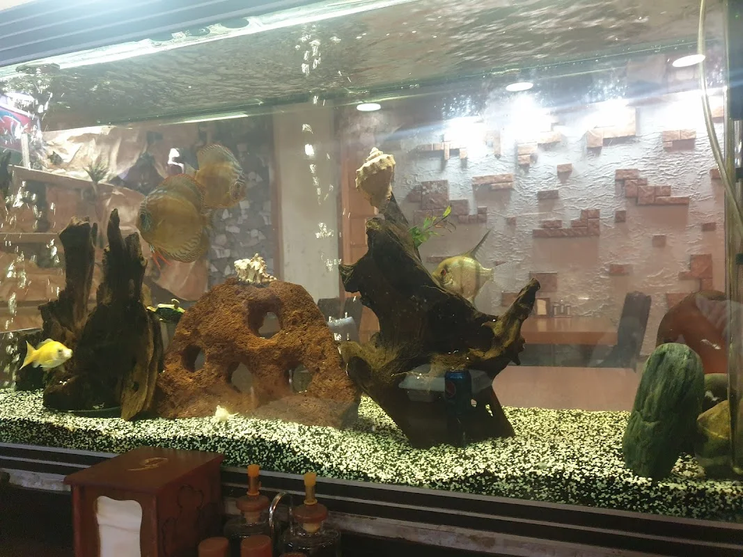 Enisa Hali Bahariye Showroom