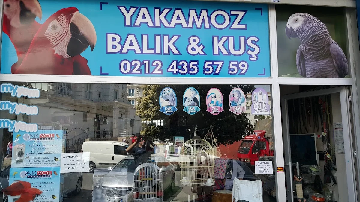 YAKAMOZ BALIK & KUŞ